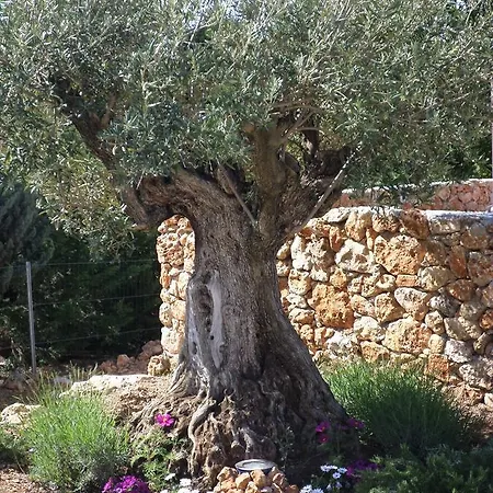 Le Clos Des Cambres Frühstückspension Les Arcs-sur-Argens